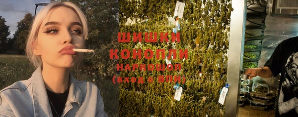 гидра Алексин