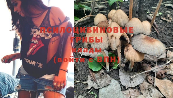 хмурый Алексеевка