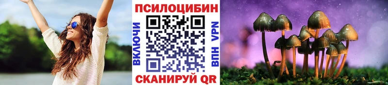 кракен сайт  Краснообск  Псилоцибиновые грибы GOLDEN TEACHER 